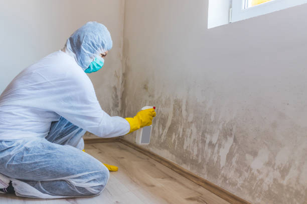 Licensed Crawl Space Mold Removal service in Warren, MN - WQB Mold Removal