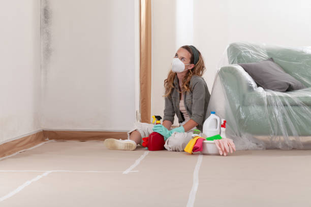 Reliable Crawl Space Mold Removal contractor in Warren, MN by WQB Mold Removal